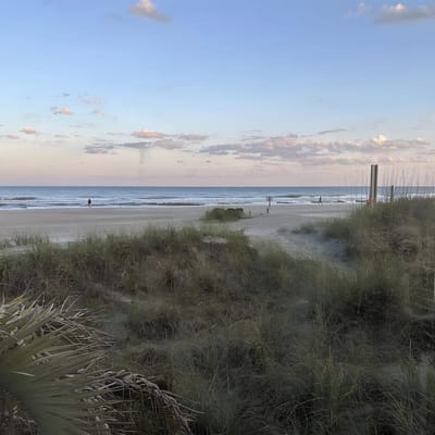 C110 A Shore Thing 2 BR 2 BA Oceanfront Condo