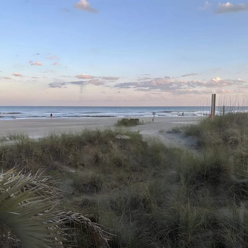 C110 A Shore Thing 2 BR 2 BA Oceanfront Condo